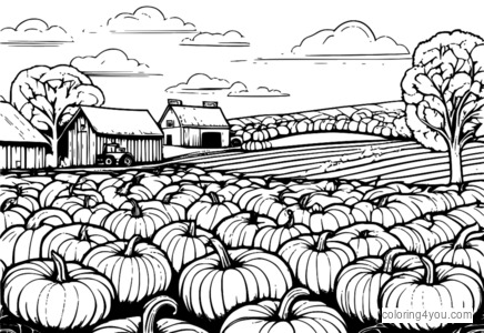 Big field of pumpkins with farmers working on the field