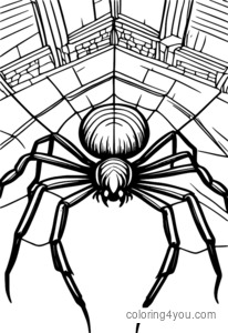 Giant spider for scary coloring pages