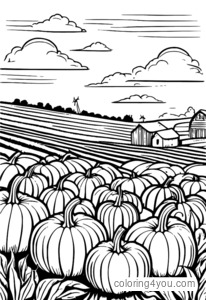 Big field of pumpkins with farmers working on the field