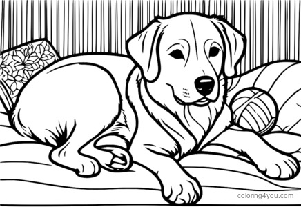 Desenho para colorir de um cachorro dormindo pacificamente com seu brinquedo favorito.