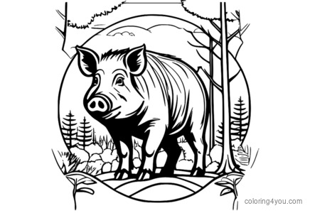 Wildschwein-Malseite