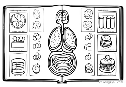 Sistem pencernaan manungsa, diagram interaktif, alat pendidikan