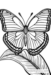 Coloriages de papillon morpho bleu avec chenille