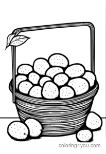 Coloring pages of the life cycle of a potato in a basket