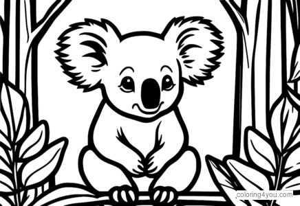 Koala kaut an Eukalyptusblättern