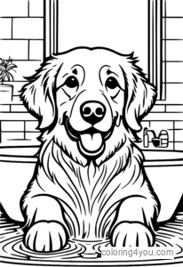 Il Golden Retriever si fa il bagno in un salone per animali