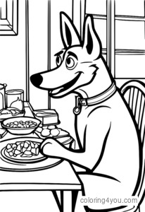 Husky-Hus waits at the table, hoping for some treats.