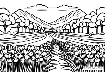 Coloriages d'un jardin de jonquilles