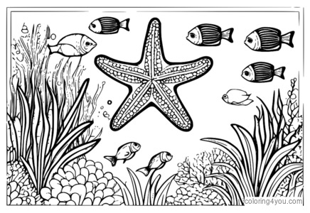 Starfish dengan Sekolah Ikan, Warna dan Impian