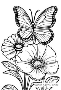 Butterfly feeding on flowers coloring pages