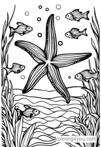 Estrella de Mar con Banco de Peces, Color y Sueño