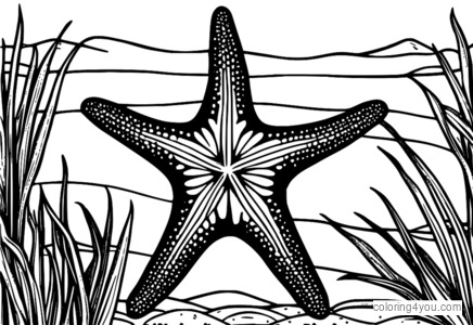 Ilustración realista de una estrella de mar con diferentes texturas.