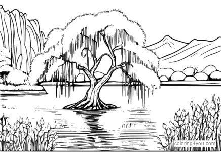 Willow tree with branches hanging over a lake