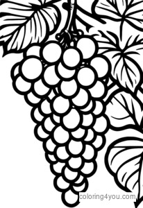 Desenho para colorir de um cacho de uvas conectando os pontos