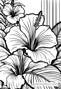 Tropical flower coloring pages