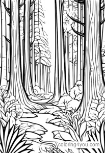 Coloring pages of magical forests with tall trees