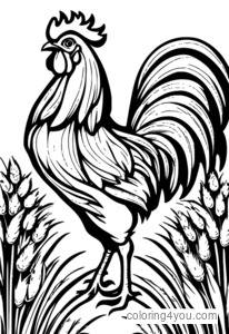 Rooster in a field of wheat.