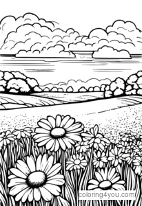 Coloriage Daisy Field avec des marguerites en fleurs