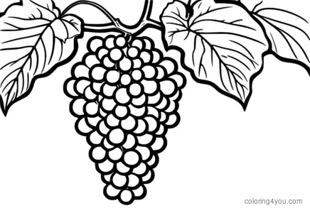 dibujo para colorear uvas moradas