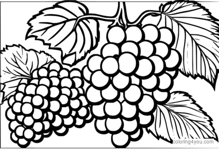 Coloring page of a bunch of grapes in a mythological setting