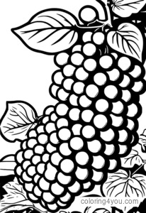 Coloring page of a bunch of grapes in a mythological setting