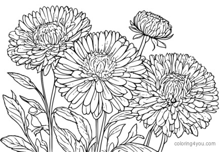 Delicate Aster Floral Patterns: Stylized Flower Arrangements Παιδικές σελίδες ζωγραφικής