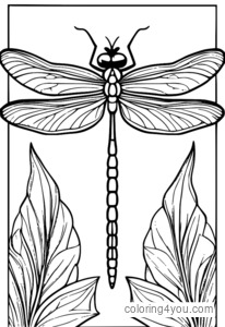 Dragonfly wings coloring page