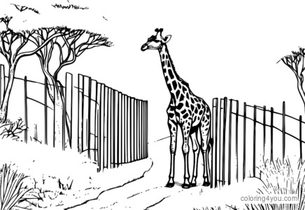 Ang pamilya ng giraffe ay gumagamit ng isang high fence wildlife corridor para tumawid sa isang human settlement.