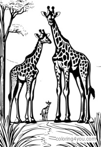 Ang pamilya ng giraffe ay gumagamit ng isang high fence wildlife corridor para tumawid sa isang human settlement.