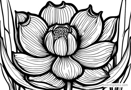 garlic flower coloring sheet