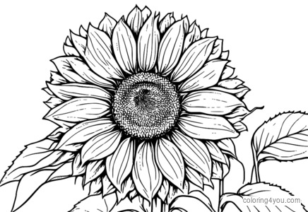 Hanami-style sunflower coloring pages with traditional design and radiating petals, ideal for kids to color and learn.