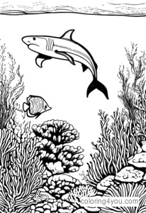 coloriage d'un requin et d'un hippocampe sur un récif de corail