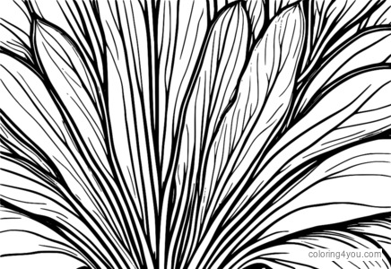 Coloring page of a beetroot