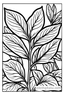 Mint leaf in a herb garden illustration