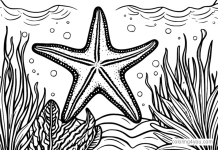 Starfish na may ngiti, napapalibutan ng seaweed, underwater scene