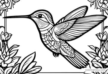 Dibujo para colorear de colibrí, símbolo de unidad y significado cultural en el folclore nativo americano