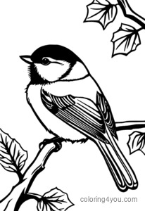 Chickadee-värityssivu, jossa on jäätä ja lunta oksalla