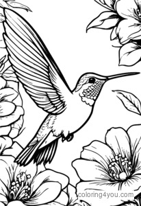 Coloring page of a hummingbird feeding on an orange flower