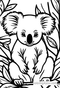 Koala mangeant des feuilles d'eucalyptus