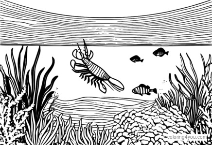 Coloriage - Homard dans un stade de course sous-marine