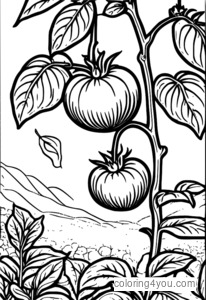 Desenho de planta de tomate para colorir para crianças