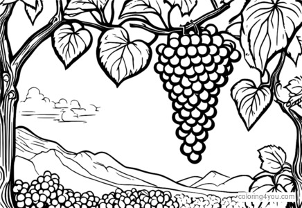 Dibujo para colorear acuarela uvas en un árbol.