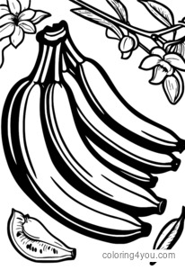 Instructions pour dessiner des bananes en régimes