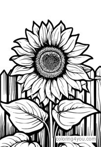 coloring pages of a sunflower in a flowerbed with a picket fence