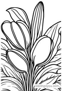 Coloring page of a radish root diagram