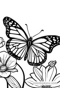 Monarch butterfly coloring pages