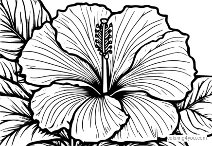 makulay na hibiscus flower coloring page para sa mga matatanda at bata