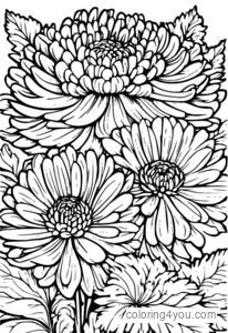 Haust chrysanthemum litarsíðu