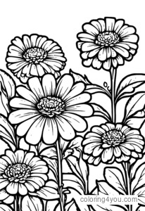 Glad zinnia hage i en beholder med rader med fargerike blomster