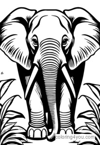 Angry elephant coloring page with a scrunched-up face